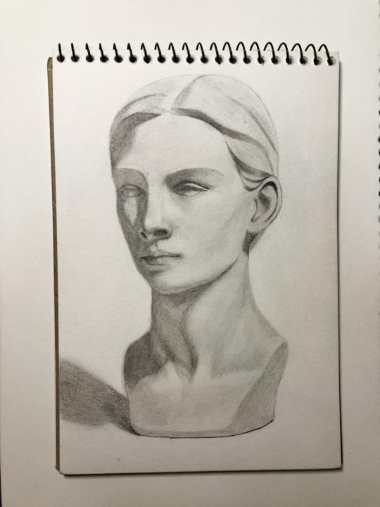 Human head drawing study