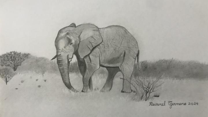 elephant drawing done ✅