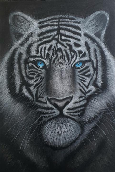 Tiger Portrait 