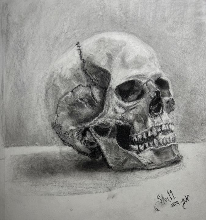 Skull Reference