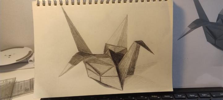Trying out the exercises and really enjoying the results! 