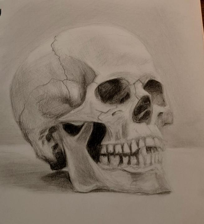 Skull