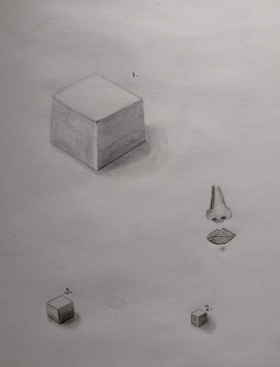 Practice 