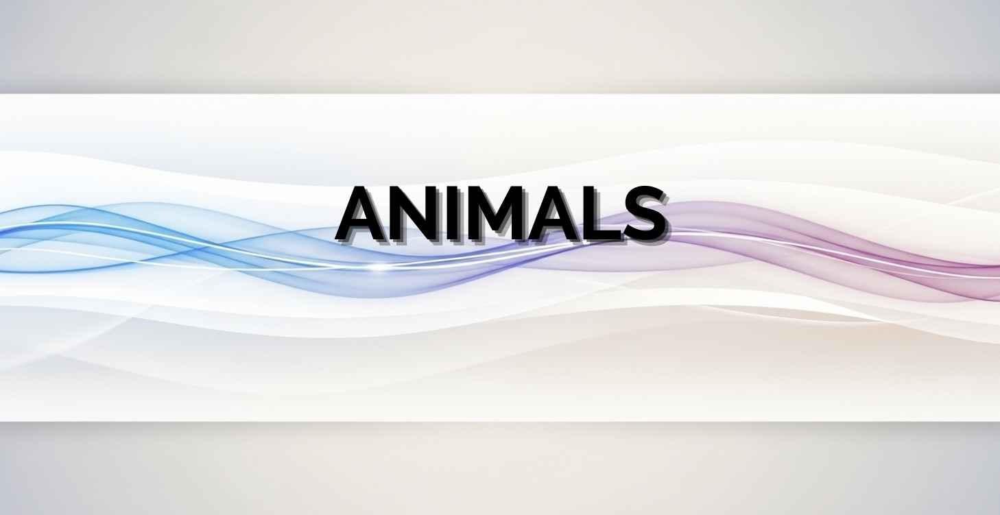 Animals