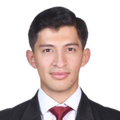 David santiago Alvarez martinez