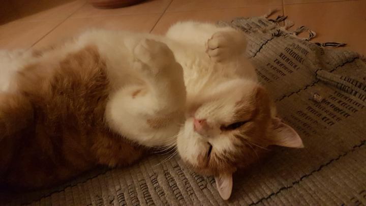 Aruran Baskaralingam