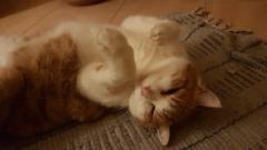 Aruran Baskaralingam