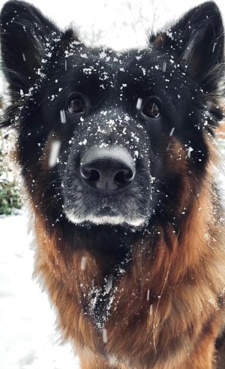 Anouk Van de coolwijk