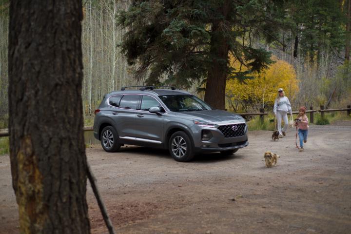 🪵 Morning Wood Monologue 🪵 