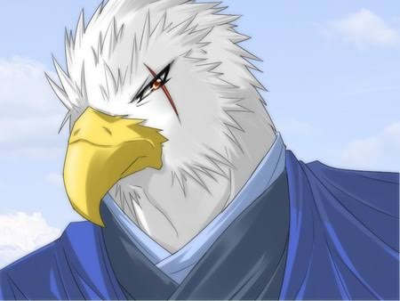 Eaglelessons H