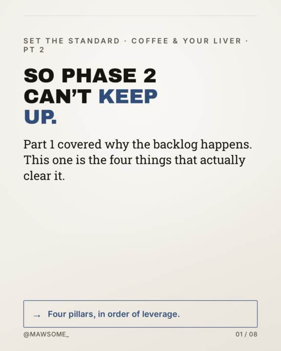Part 2 - Detox phase series (Digestible version)
