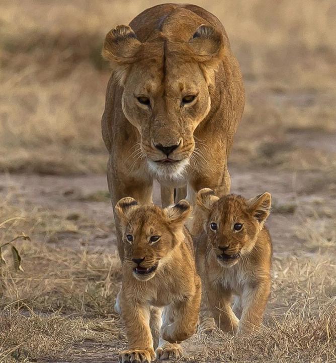 Georgina Freixes Conesa