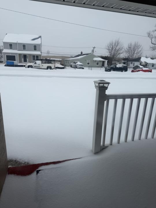 The picture outside my house 