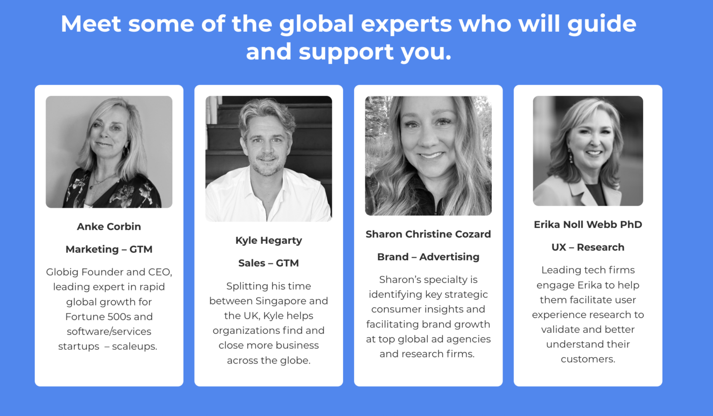 Globig Expansion Accelerator