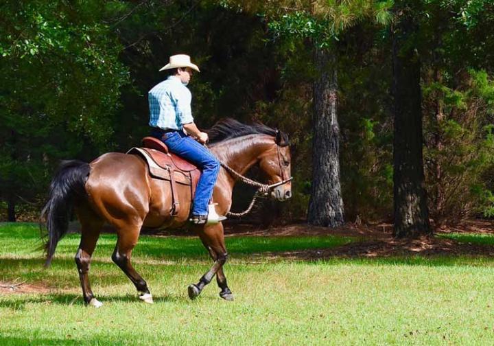 We are building out our Class Room as we prepare to launch our Skool Platform!