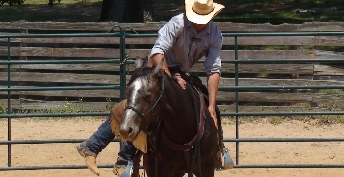 Colt Starting Course - Gus