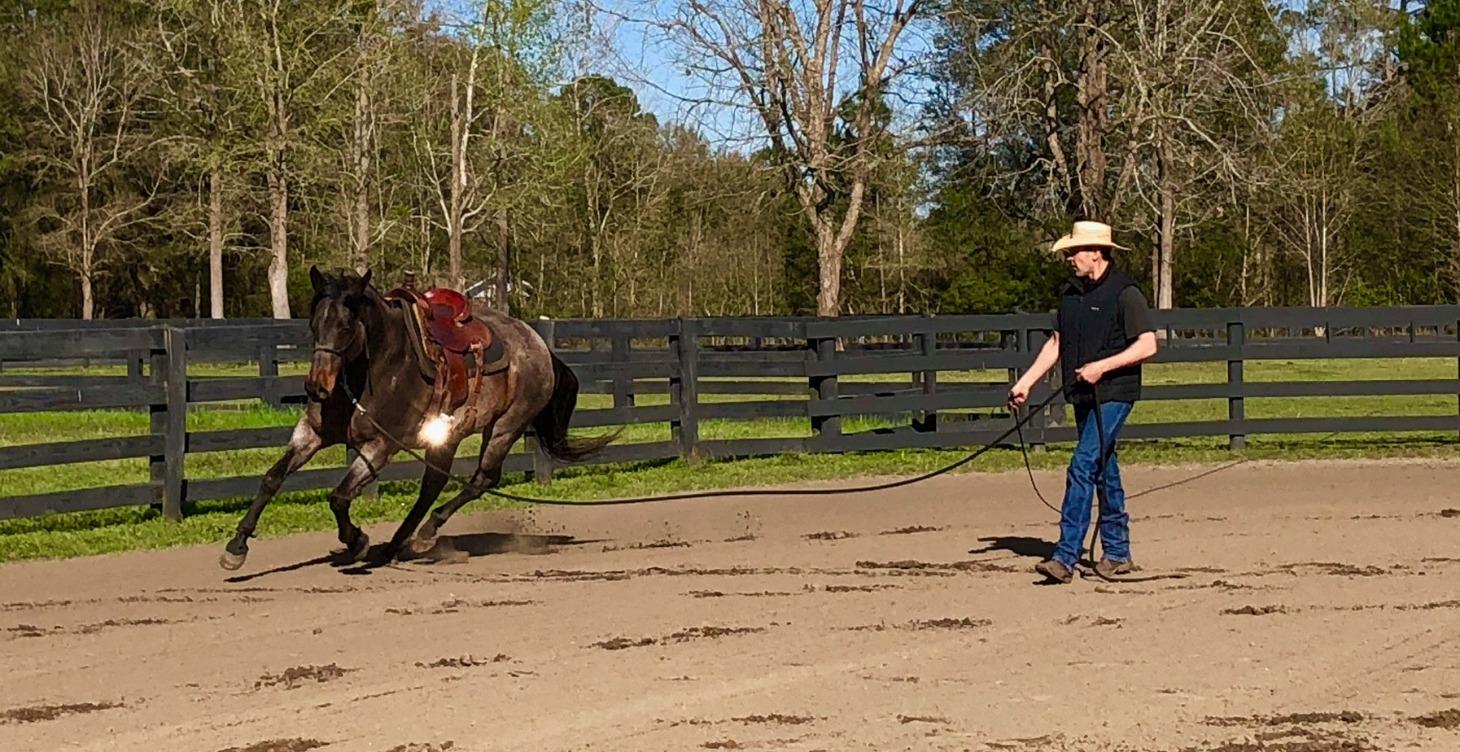 Basic Foundation Ground Development