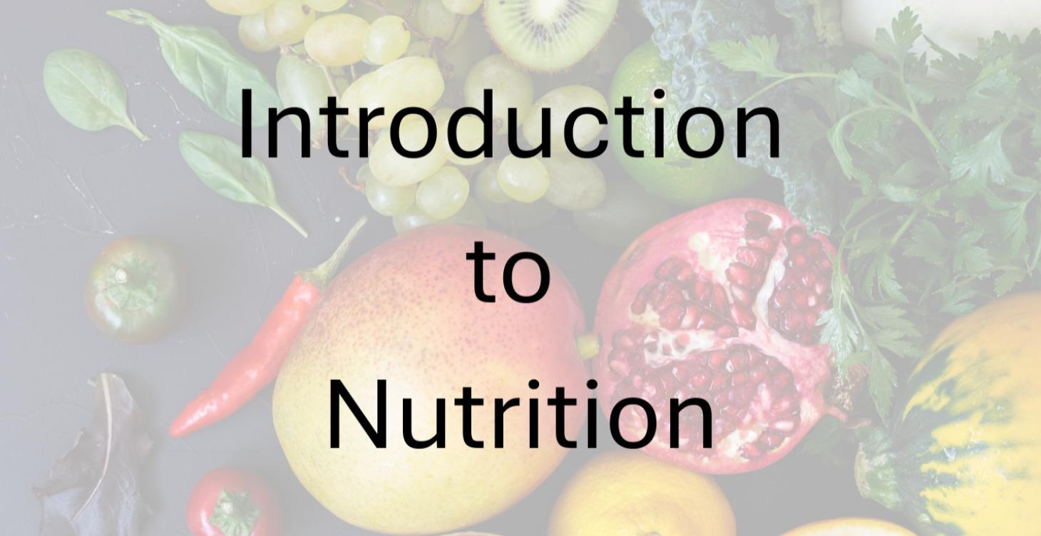 Nutrition Course