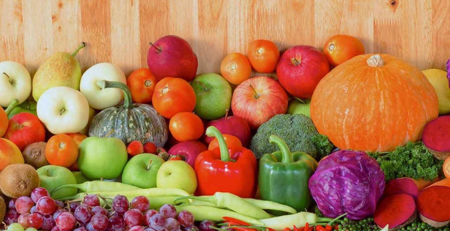 Foundations to support your health