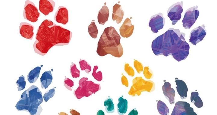 🐾🐶PATITAS FELICES🐱🐾