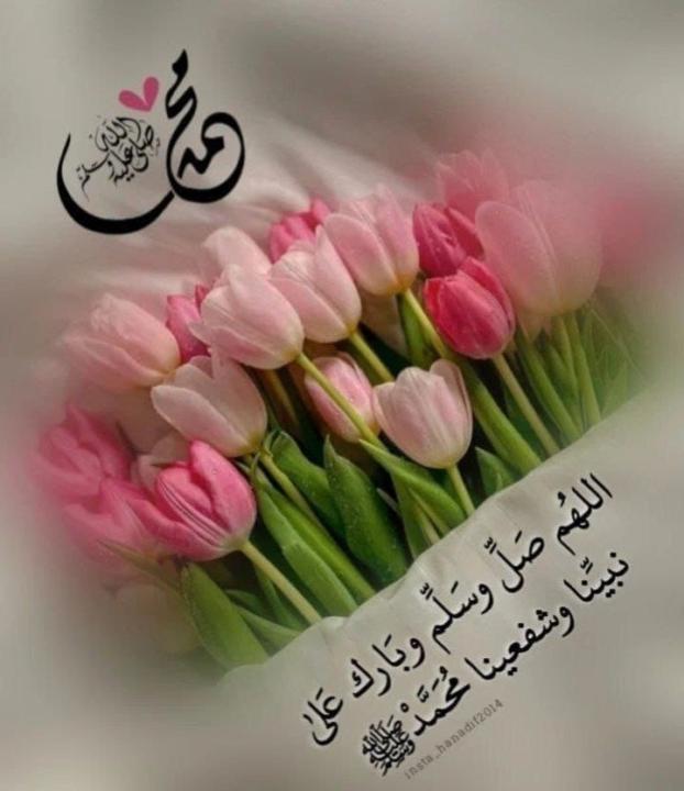تبيان احمد