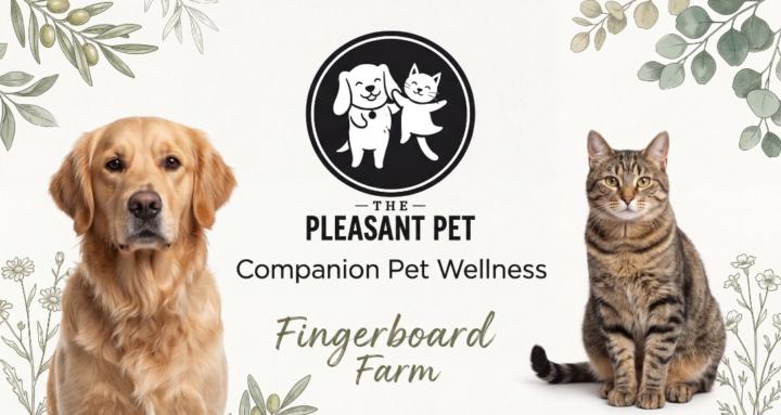 Companion Pet Wellness 
