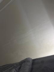 فهد الحارثي