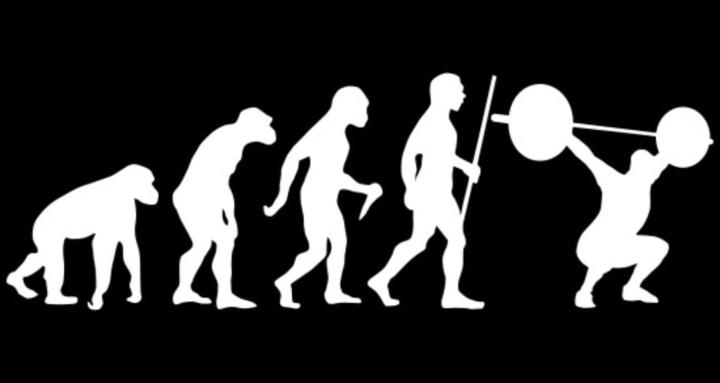 Evolution Dynamics