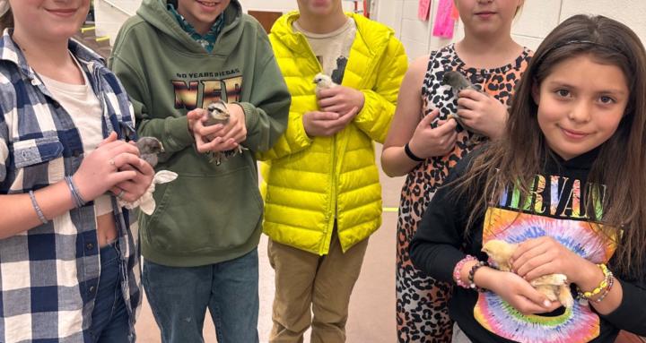 The 4-H Inspired Project Hub