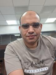 Alaa Arafa