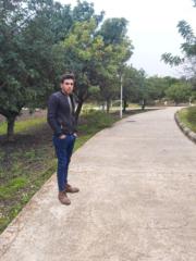 Mahmoud Zaarour
