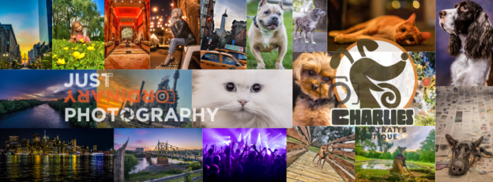 Hello All! Pet Loving Creative here in Pennsylvania 💙🐾