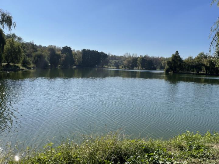 You are using AI every day.