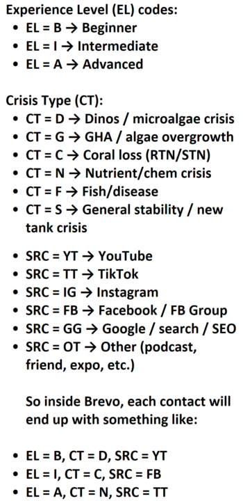 Flow chart created! Risk Taker's System: Twilio, VAPI, & The Power of Progress