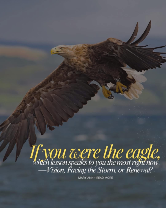 If you were the eagle,