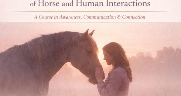 Mind-Body-Horse Coaching