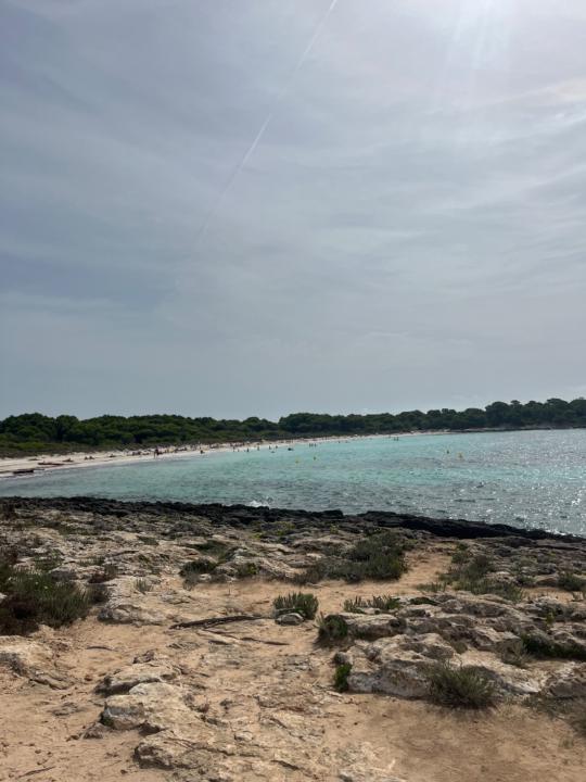 Business Partenariat