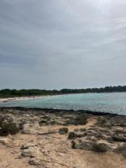 Business Partenariat