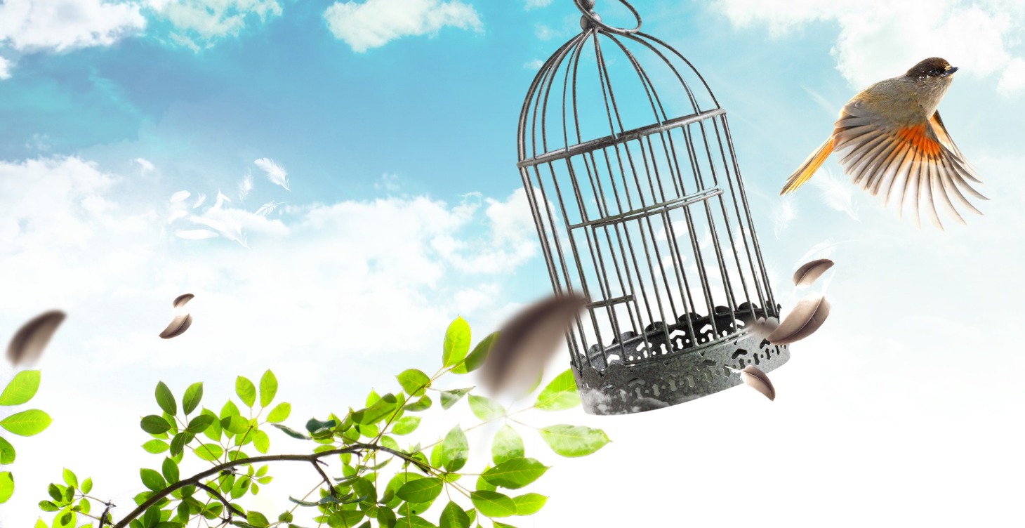 Breakthrough the Barriers of Change