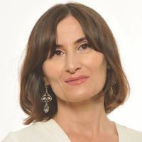 Lica Ursu
