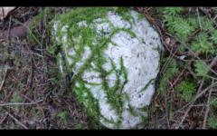 Chantal Dobles Gering