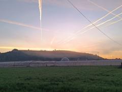 Pablo Ferrero Cabezas