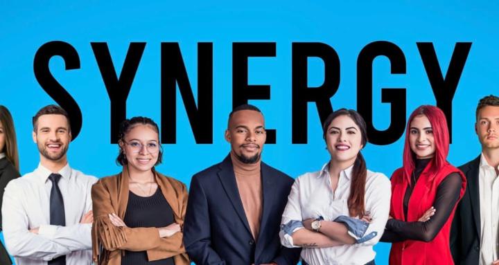 Synergy Sourced / BeVA Academy