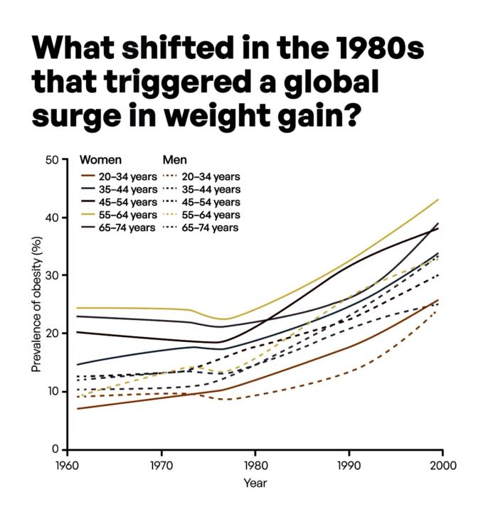 You are the CEO of your own health
