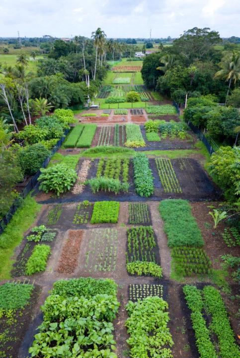 Regenerative Farming