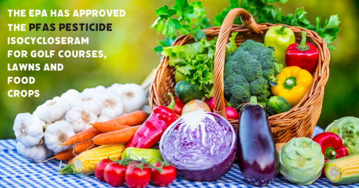 [NEWS] EPA Approves Its Second ‘Forever Chemical’ Pesticide in Two Weeks