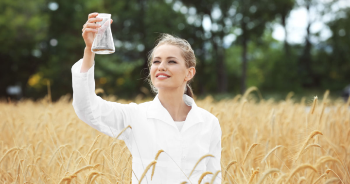 [NEWS] U.S. Commercial Development of Transgenic HB4 GMO Wheat is Now Underway