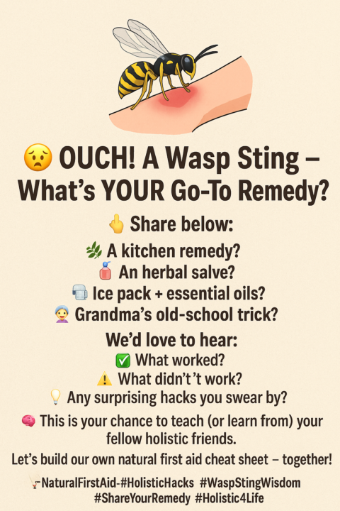🐝 OUCH! A Wasp Sting — What’s YOUR Go-To Remedy? 🌿