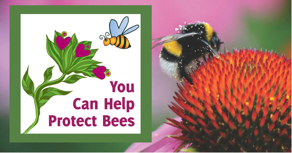 [ACTION ALERT] What Can Citizens Do to Truly “Save the Bees”