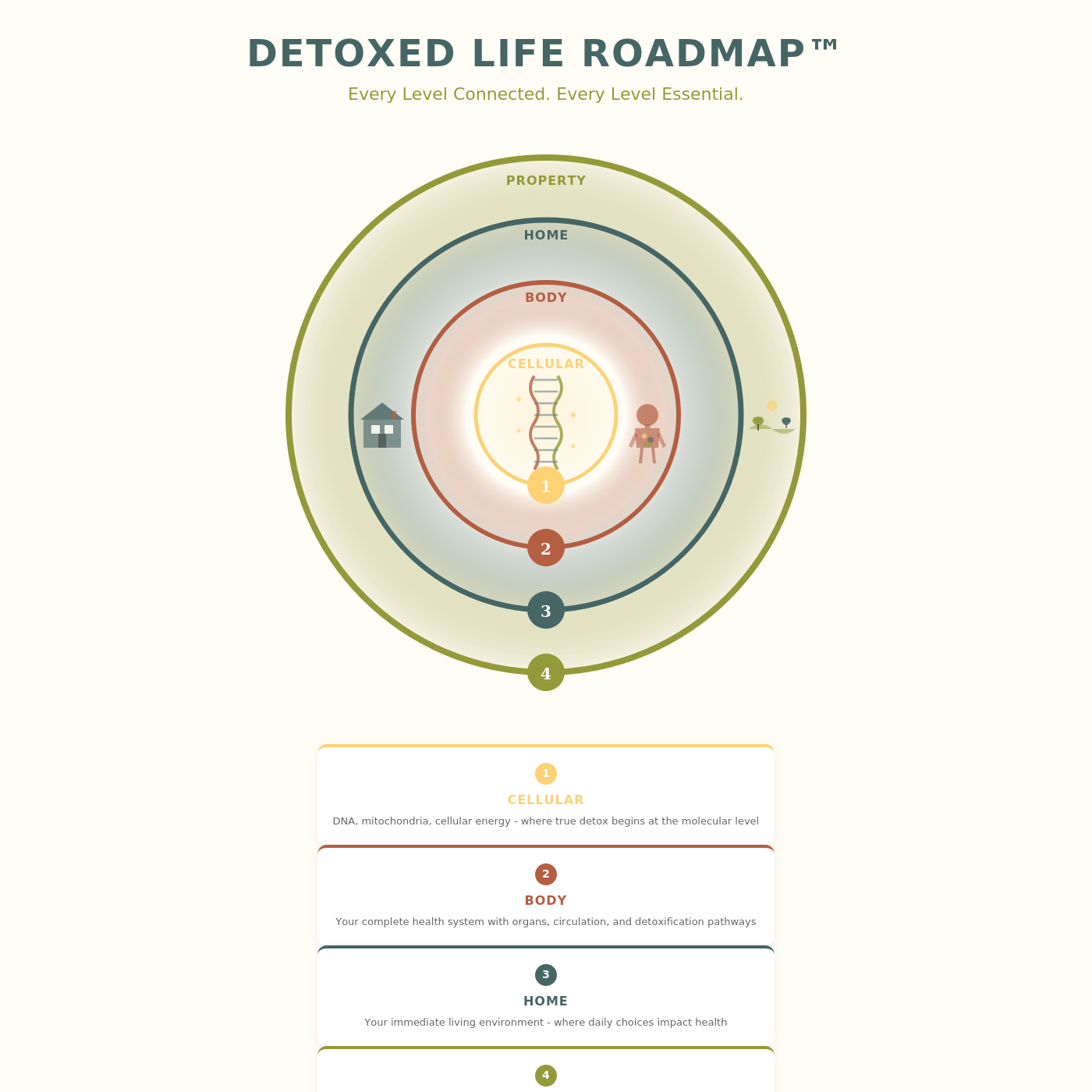 Detoxed Life Roadmap